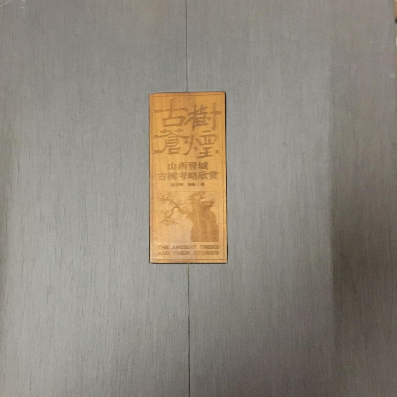 古树苍烟