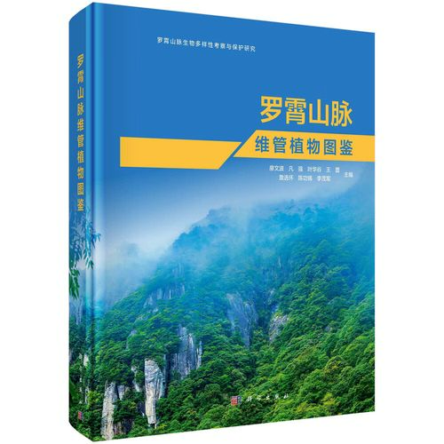 微信图片_20250828154824